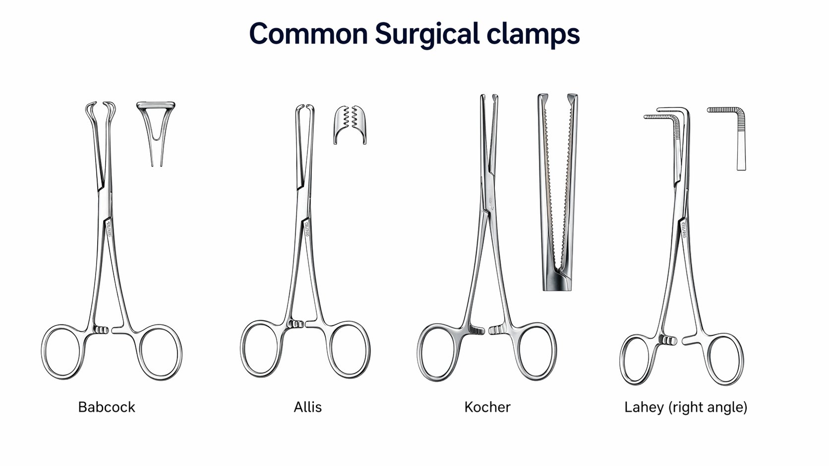 Clamps: Babcock, Allis, Kocher, and Lahey right-angled forceps.