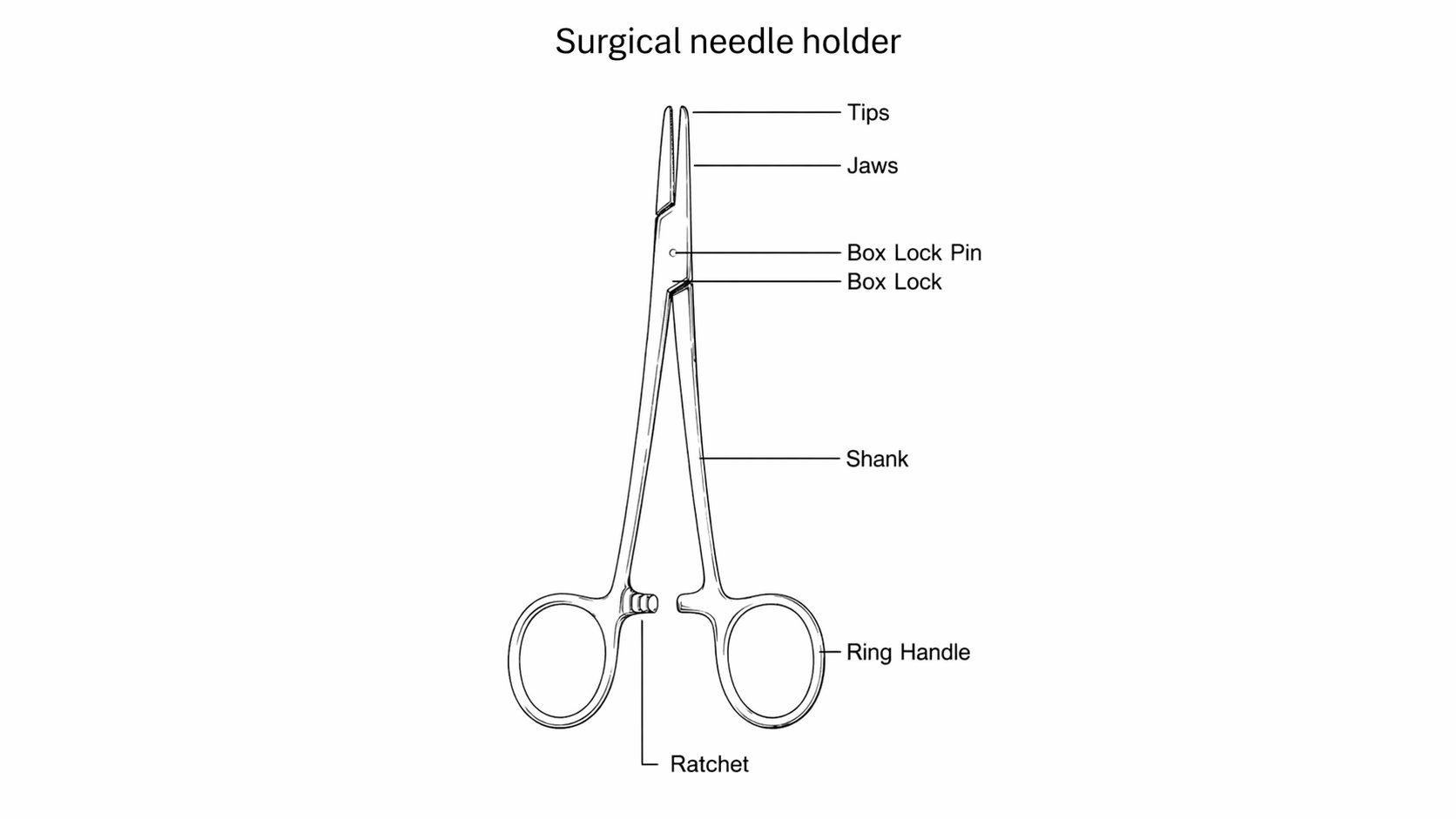 Parts of a surgical needle holder: tips, jaws, box lock, shank, ratchet, and ring handles.